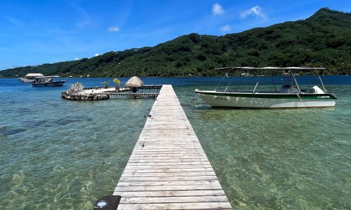 Pension Hibiscus